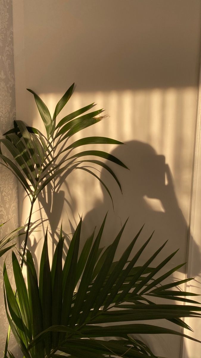 مهندسة منية التعمري